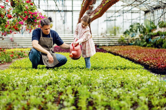 A Guide to Gear for the Green Thumb: Garden Gadgets for Dads